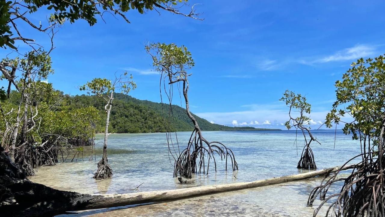 Nyande Raja Ampat Pulau Mansuar Exterior foto