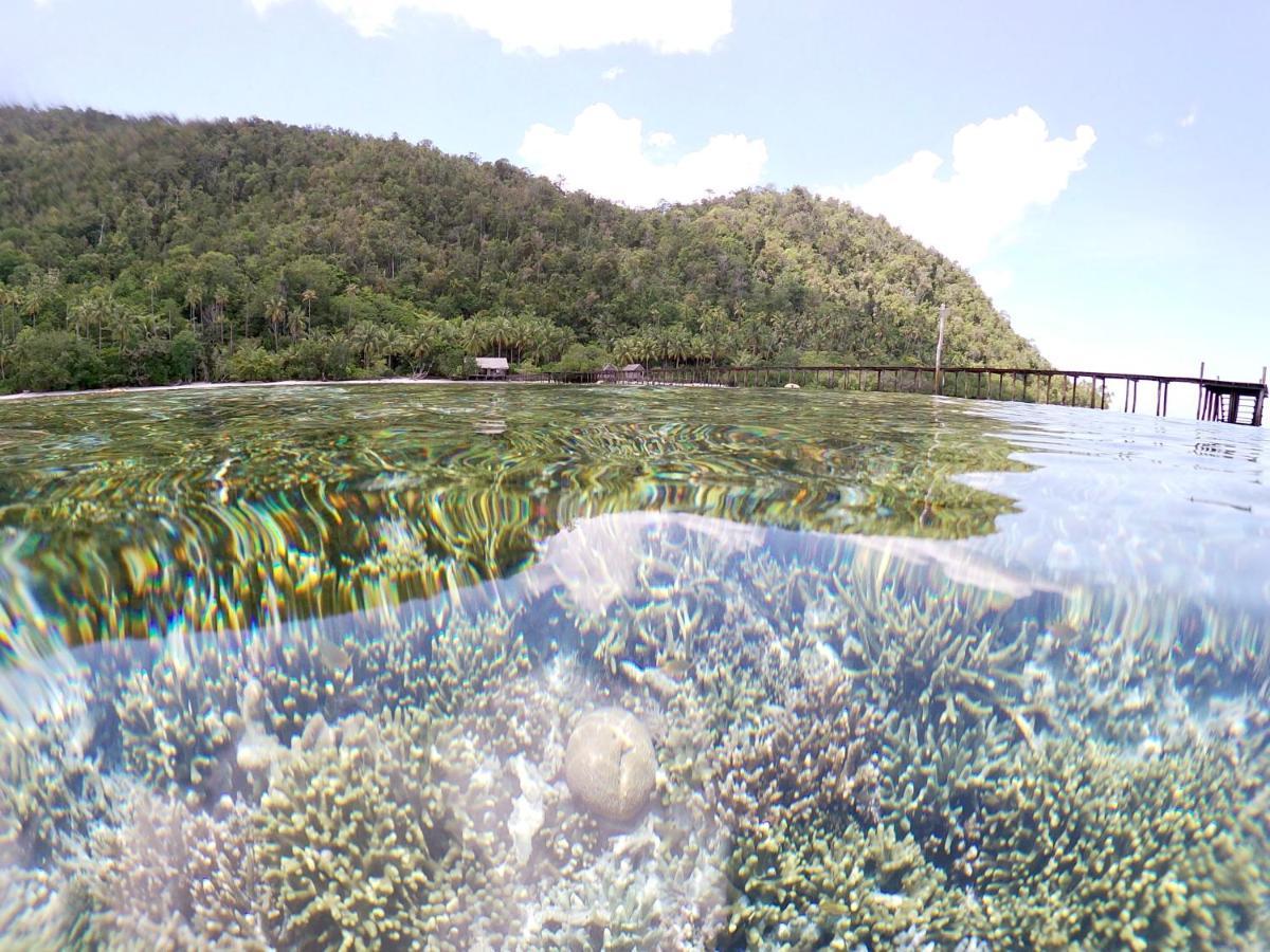 Nyande Raja Ampat Pulau Mansuar Exterior foto